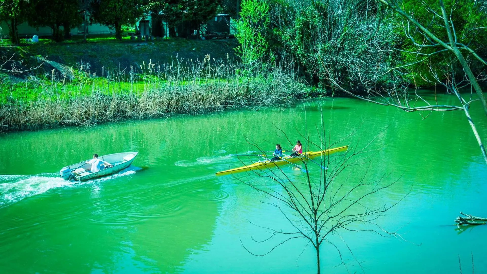 Un Nido Sul Fiume Διαμέρισμα Φεράρα